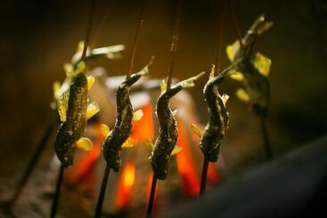 ریوکان 川魚・山菜料理　和田屋