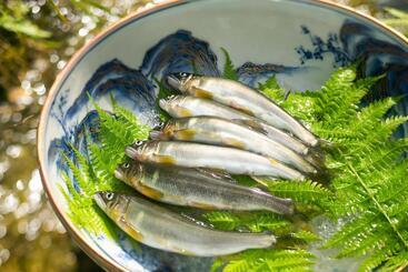 ریوکان 川魚・山菜料理　和田屋