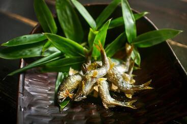 ریوکان 川魚・山菜料理　和田屋