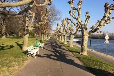 هتل Krone Rüdesheim