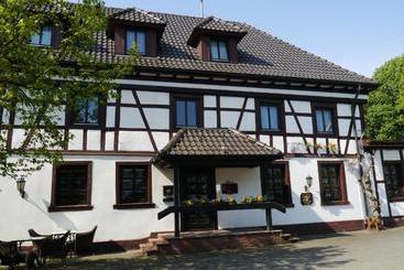 هتل Schwan
