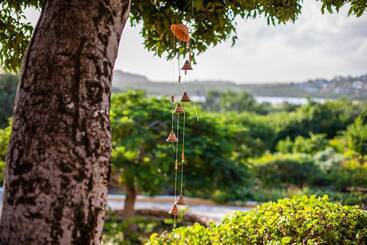 تختخواب و صبحانه Plantation Jan Thiel Lodge