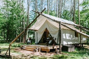 استراحتگاه Whispering Springs Wilderness Retreat