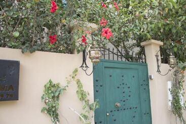 Riad Anma