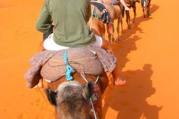مسافرخانه Auberge Africa
