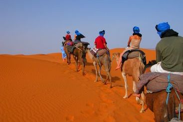 مسافرخانه Auberge Africa