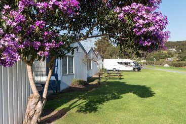 هتل Waitangi Holiday Park