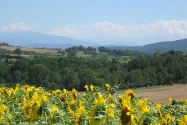Bed and Breakfast La Maire