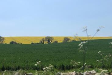 تختخواب و صبحانه Clare Cottage