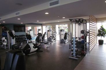 Miracle Mile Apartments With Full Amenities