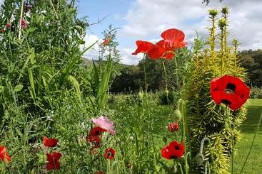 پانسیون Nant Yr Onnen B&b And Ysgubor Holiday Cottage