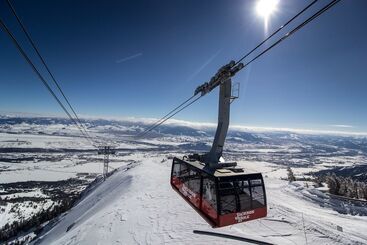 هتل Springhill Suites By Marriott Jackson Hole