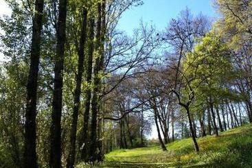 تختخواب و صبحانه Moulin De Bapaumes