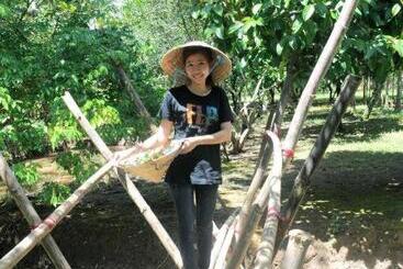 Forever Green Resort