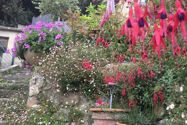 Skylark Bed & Breakfast