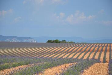 تختخواب و صبحانه Les Terrasses De Valensole