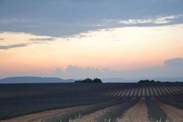 تختخواب و صبحانه Les Terrasses De Valensole