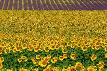 تختخواب و صبحانه Les Terrasses De Valensole
