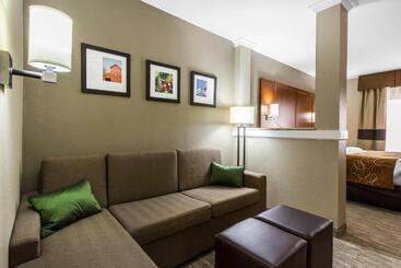 هتل Comfort Suites University
