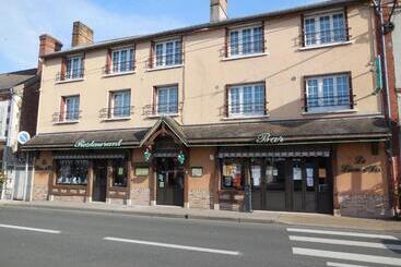 هتل Hôtel Le Lion D'or