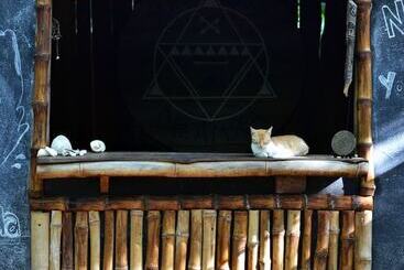 هتل Dreamsea Surf Camp