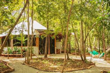 هتل Dreamsea Surf Camp