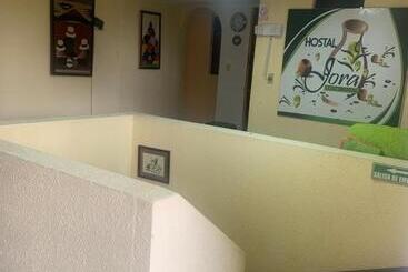 هتل Hostal Jora Continental