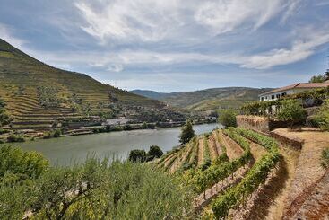 هتل Quinta De La Rosa