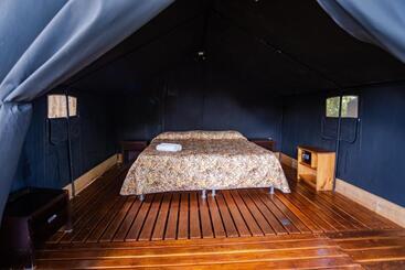 هاستل Arenal Backpackers Resort