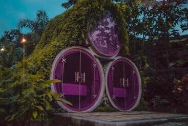 هاستل Arenal Backpackers Resort