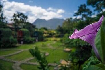هاستل Arenal Backpackers Resort