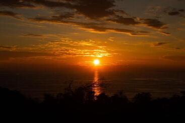 هاستل Pura Natura Lodge Manuel Antonio