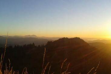 ホテル Berghüs Schratt   Einfach Anders   Ihr Vegetarisches Und Veganes Bio