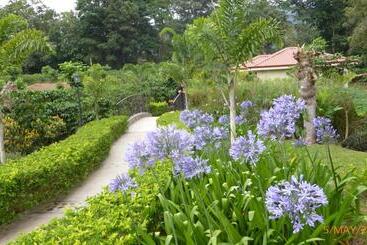 هتل La Casona Del Cafetal