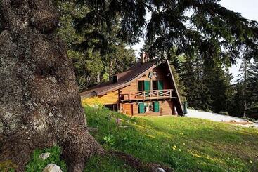 هتل Chalet Alpinka