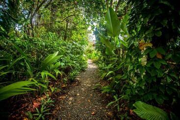هتل Lapa Rios Lodge By Boena