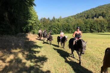هتل Pension & Reitschule Fuchsenhof