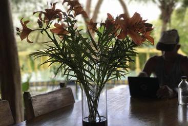 هتل Nosara Sunrise Bed And Breakfast