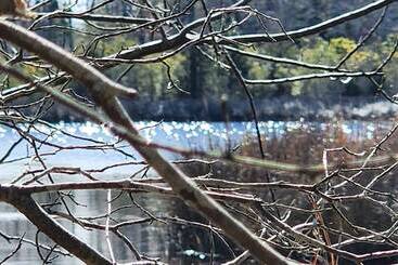 בית מלון כפרי The White House On Freedom Way