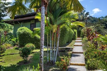 هتل Tiki Villas Rainforest Lodge & Spa