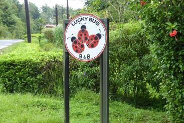 Lucky Bug Bed And Breakfast - Nuevo Arenal