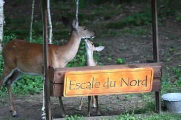هتل Escale Du Nord