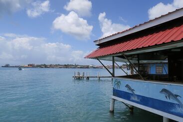 Kevin Condos - Bocas del Toro