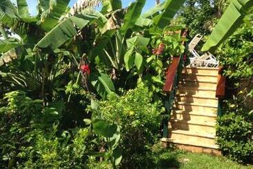 Villa Mango B&b