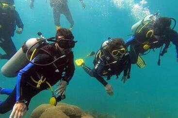 هتل Taganga Dive Inn