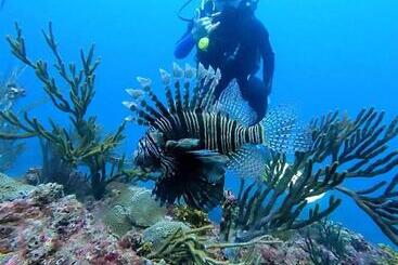 هتل Taganga Dive Inn