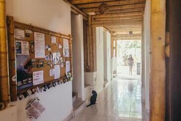 La Tortuga Hostel