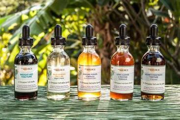 استراحتگاه The Source Herbal Detox Retreat