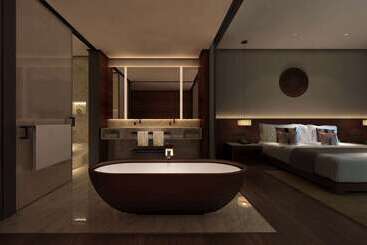هتل Wyndham Grand Plaza Royale Kaidi