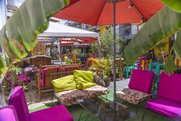 Banana S Adventure Hostel